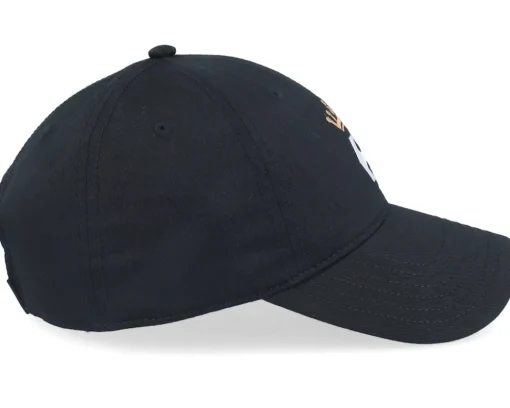 Discount Etnies Ag Dad Cap - Black