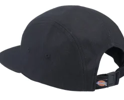 5-Panel-Dickies Albertville Black 5-Panel -