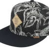 Snapback-Djinns Aloha Couch Black Snapback -
