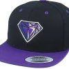 Snapback-Iconic Amethyst Gem Black/Purple Snapback -