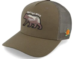 Trucker-SQRTN Bear Cap Brown Trucker -