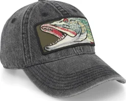 Discount Skillfish Big Pike 382 Snow Washed Black Denim Dad Cap -