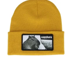 Cuff Beanies-Iconic Capybara Sofa Beanie French Navy Cuff - Blue