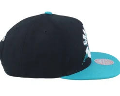 Best Mitchell & Ness Charlotte Hornets Circle Splash Black/Teal Snapback -