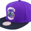 Snapback-Mitchell & Ness Charlotte Hornets Core Basic Purple/Black Snapback -