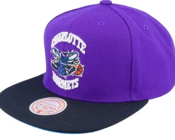Snapback-Mitchell & Ness Charlotte Hornets Core Basic Purple/Black Snapback -