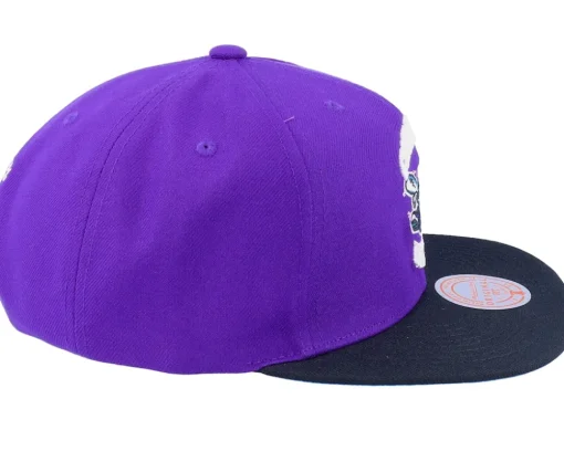 Snapback-Mitchell & Ness Charlotte Hornets Core Basic Purple/Black Snapback -