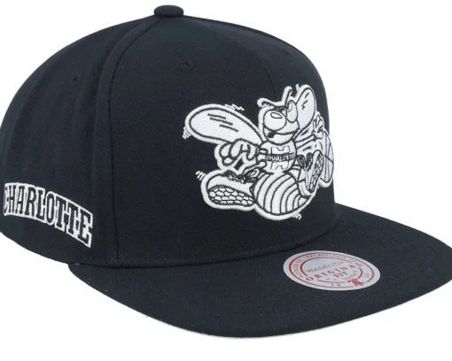 Snapback-Mitchell & Ness Charlotte Hornets Evergreen /White Snapback - Black