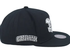 Snapback-Mitchell & Ness Charlotte Hornets Evergreen /White Snapback - Black