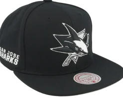Snapback-Mitchell & Ness Charlotte Hornets Evergreen /White Snapback - Black