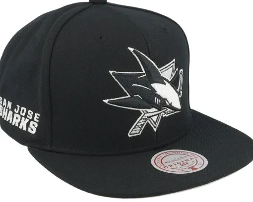Snapback-Mitchell & Ness Charlotte Hornets Evergreen /White Snapback - Black