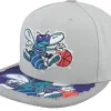 Snapback-Mitchell & Ness Charlotte Hornets Munch Time Hwc Snapback - Grey