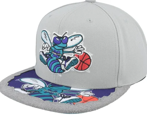 Snapback-Mitchell & Ness Charlotte Hornets Munch Time Hwc Snapback - Grey