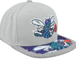 Snapback-Mitchell & Ness Charlotte Hornets Munch Time Hwc Snapback - Grey