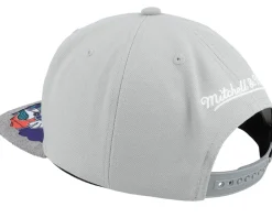 Snapback-Mitchell & Ness Charlotte Hornets Munch Time Hwc Snapback - Grey