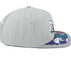 Snapback-Mitchell & Ness Charlotte Hornets Munch Time Hwc Snapback - Grey