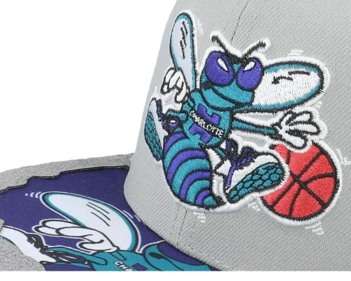 Snapback-Mitchell & Ness Charlotte Hornets Munch Time Hwc Snapback - Grey