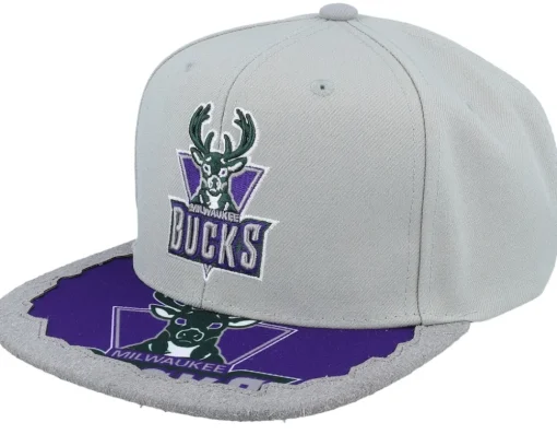 Snapback-Mitchell & Ness Charlotte Hornets Munch Time Hwc Snapback - Grey