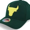 Outlet Mitchell & Ness Chicago Bulls Green Dream Dark Green Adjustable -