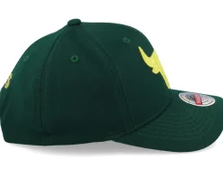 Outlet Mitchell & Ness Chicago Bulls Green Dream Dark Green Adjustable -