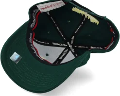 Outlet Mitchell & Ness Chicago Bulls Green Dream Dark Green Adjustable -