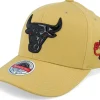 Adjustable-Mitchell & Ness Chicago Bulls Hatstore Exclusive x Champion Logo Beige Adjustable -