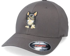 Flexfit-Iconic Chihuahua Dog Dark Grey Flexfit -