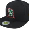 Snapback-Lucid Smile Colorful Lizard Black/Black Snapback -