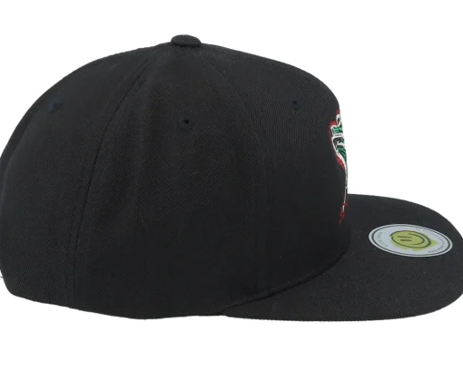 Snapback-Lucid Smile Colorful Lizard Black/Black Snapback -