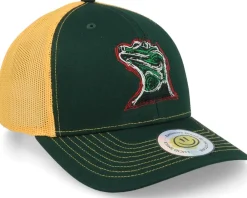 Trucker-Lucid Smile Colorful Lizard Dark Green/Gold Trucker -