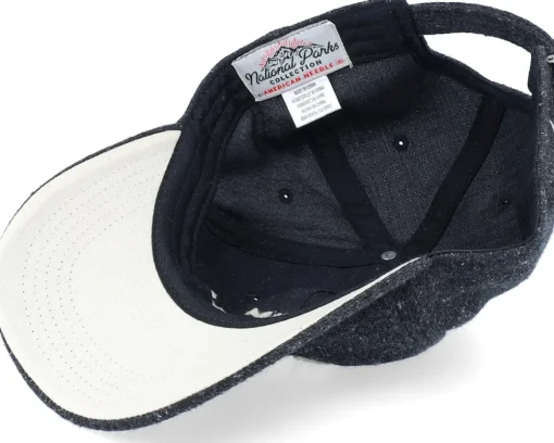 Dad Cap-American Needle Deadth Valley Canopy Black Dad Cap -