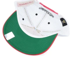 Trucker-Mitchell & Ness Detroit Wings Sideline Vintage /White A-frame Trucker - Red