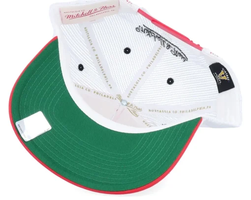 Trucker-Mitchell & Ness Detroit Wings Sideline Vintage /White A-frame Trucker - Red