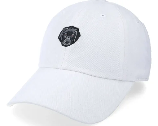 Clearance American Needle Dog Micro Slouch Snow White Dad Cap -