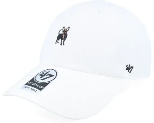 Outlet 47 Brand Dog-base Runner Icon 47 Clean Up Dad Cap - White