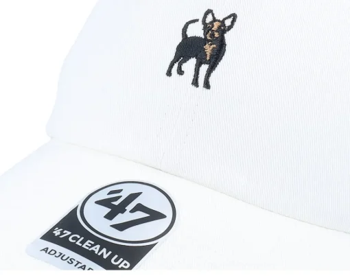 Outlet 47 Brand Dog-base Runner Icon 47 Clean Up Dad Cap - White