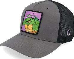 Trucker-TMNT Donatello Box /Black A-Frame Trucker - Grey