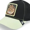 Clearance Goorin Bros. Everything The Light Touches Black Trucker -