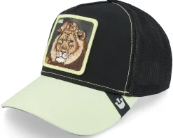 Clearance Goorin Bros. Everything The Light Touches Black Trucker -