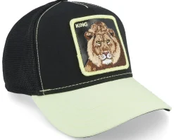 Clearance Goorin Bros. Everything The Light Touches Black Trucker -