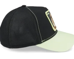 Clearance Goorin Bros. Everything The Light Touches Black Trucker -