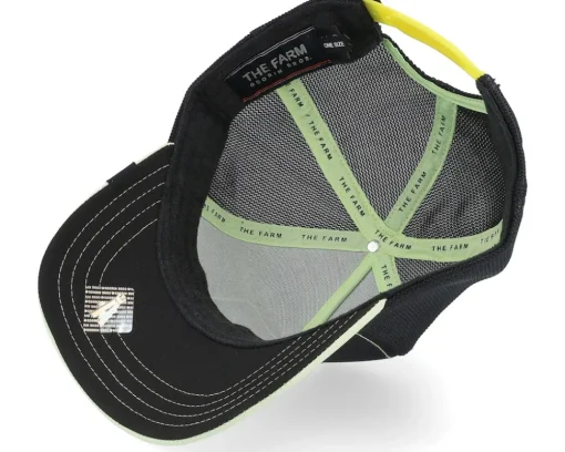 Clearance Goorin Bros. Everything The Light Touches Black Trucker -