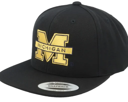 Sale Park Fields Florida Gators F Logo Snapback - Black