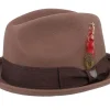 Fedora-Brixton Gain Bison Fedora -