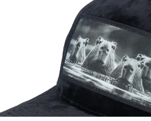 Trucker-Calza Pennello Gang Of Capybara Patch Velvet Trucker - Black