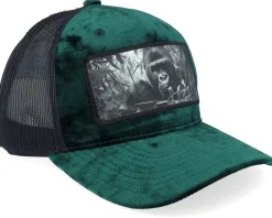 Trucker-Calza Pennello Gorilla Big Patch Velvet /Black Trucker - Green