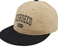 Skate-DC Gymnasium Kelp/Black Snapback -
