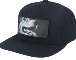 Snapback-Calza Pennello Happy Dog Big Patch Black Snapback -