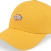 Dad Cap-Dickies Hardwick Honey Gold Dad Cap - Yellow