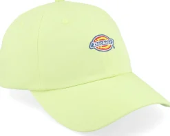 Dad Cap-Dickies Hardwick Pale Dad Cap - Green